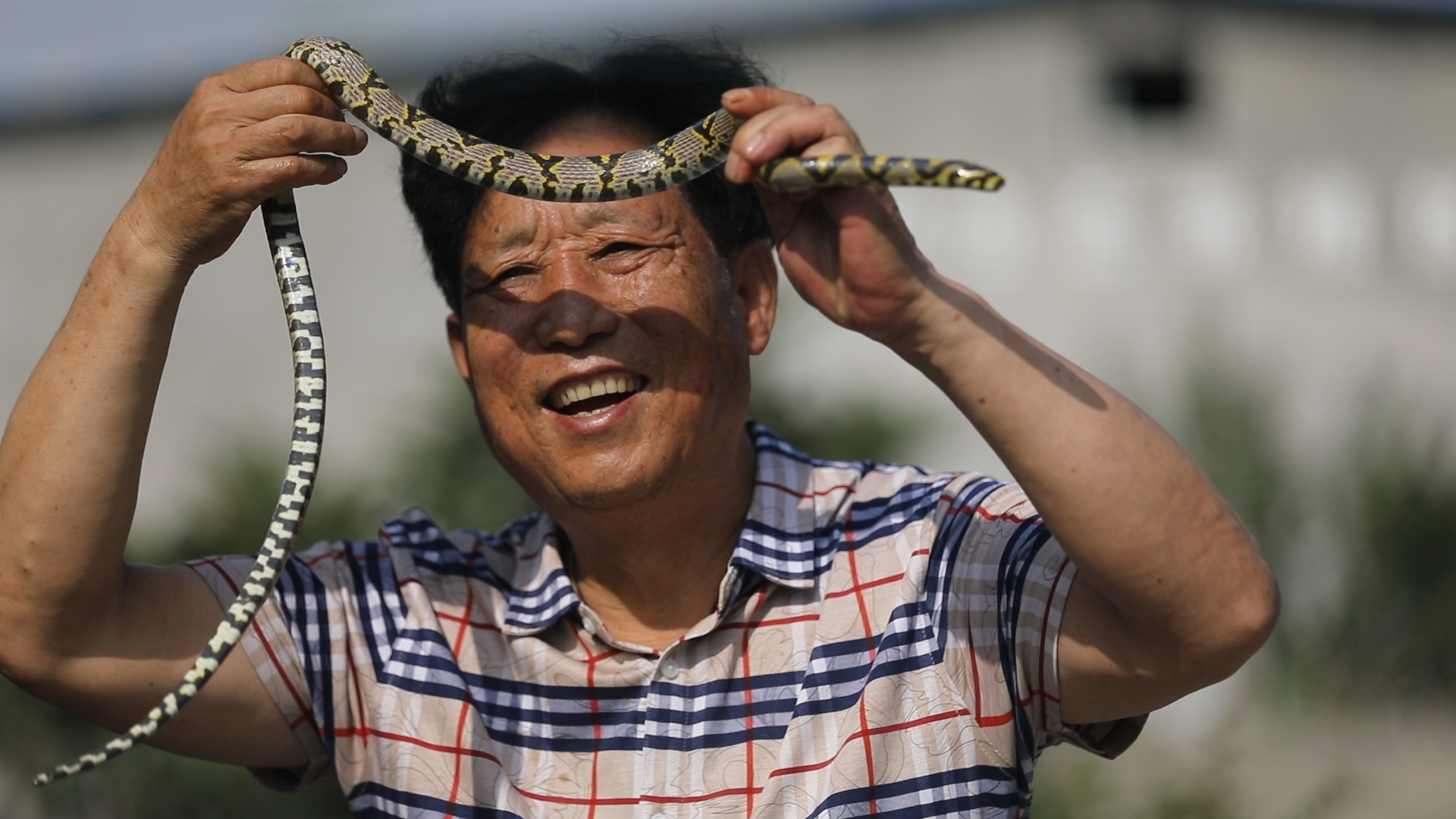 来源:浙江24小时 发布时间:2018-05-31 18:25:46 河南澲阳小伙石建国在温州打工5年,工作是抹灰。他有空就在工地上练书法,没纸的时候,就在玻璃、木板上练。走红网络后,石建国被老家特聘为市书画院书画家。
