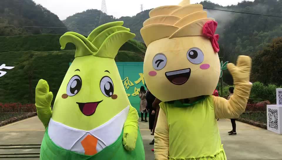 绍兴首届豌豆节唱响!动人开幕《我和我的春笋》祖国公考图片