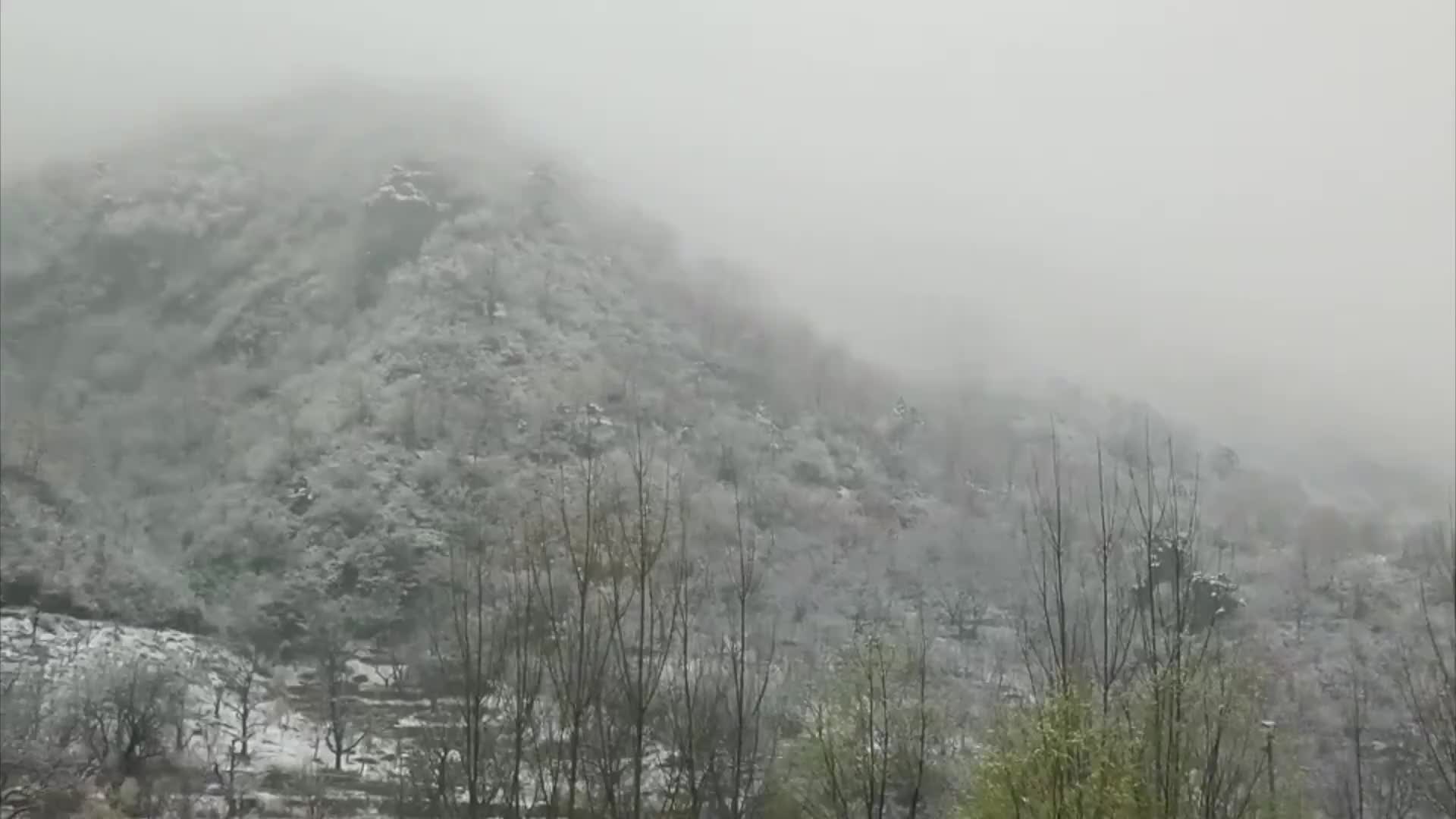 四月飞雪 北京怀柔超美雪景来袭!