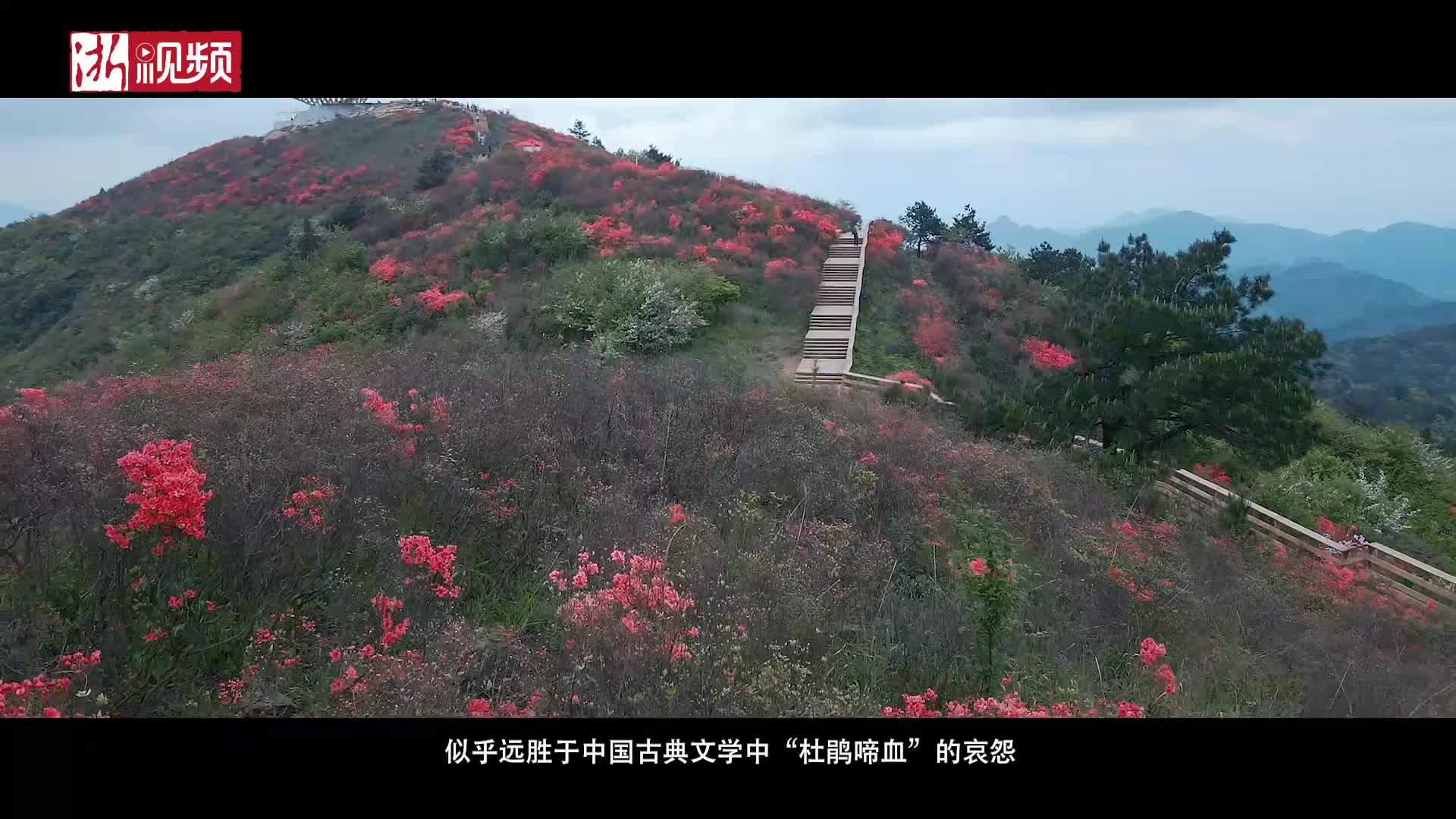 龙游六春湖.