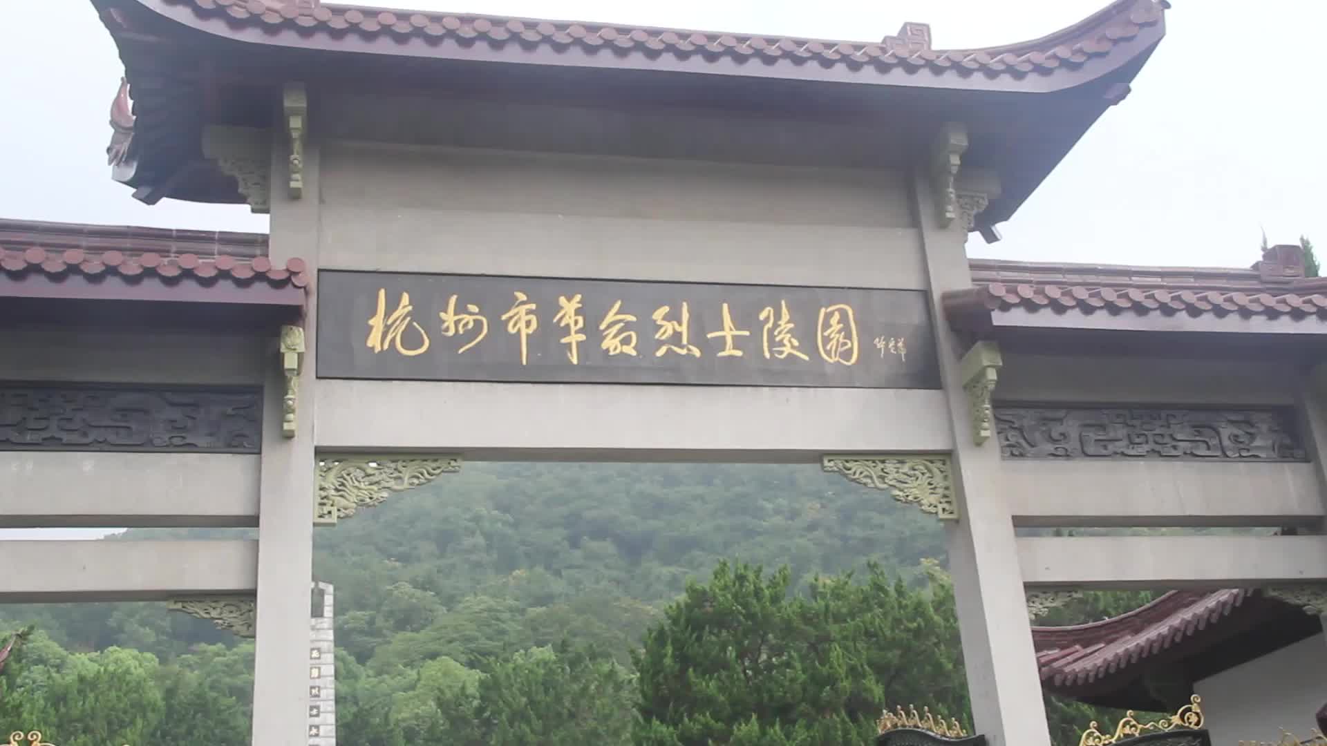 受台风天影响海豚受伤搁浅 舟山边防官兵紧急救援