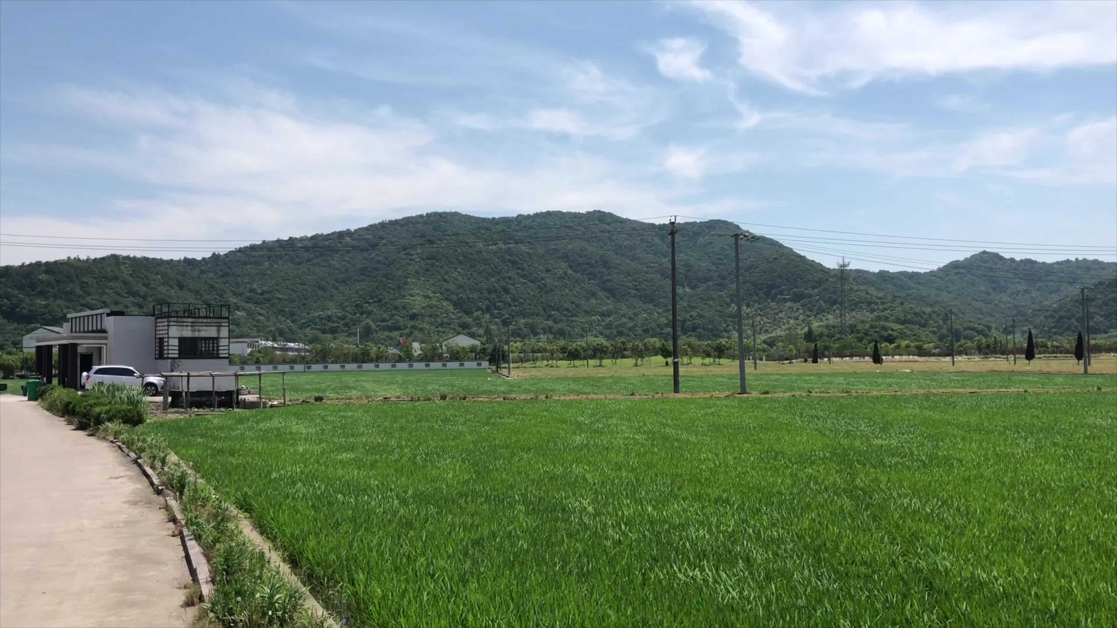 绍兴市越城区皋埠镇坝内村