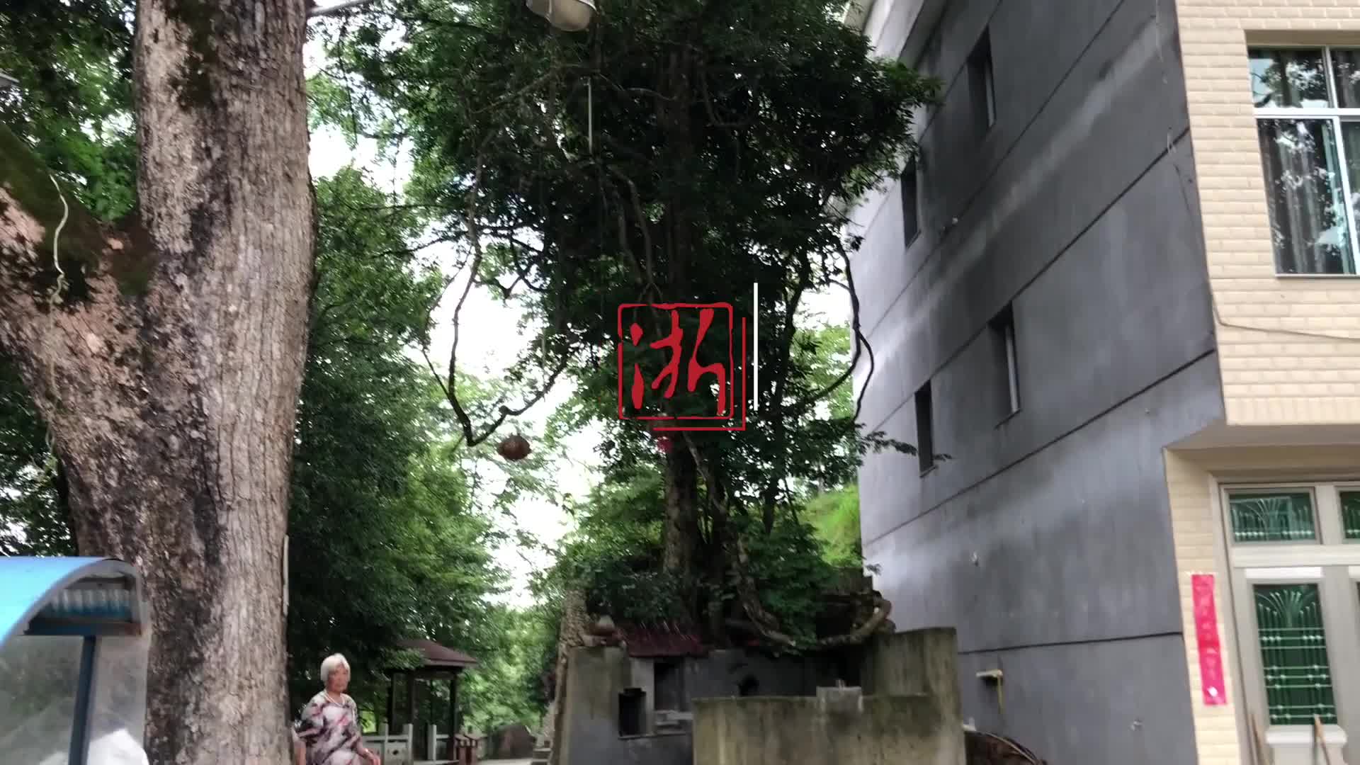 温州全面启动居家和社区养老服务改革试点建设