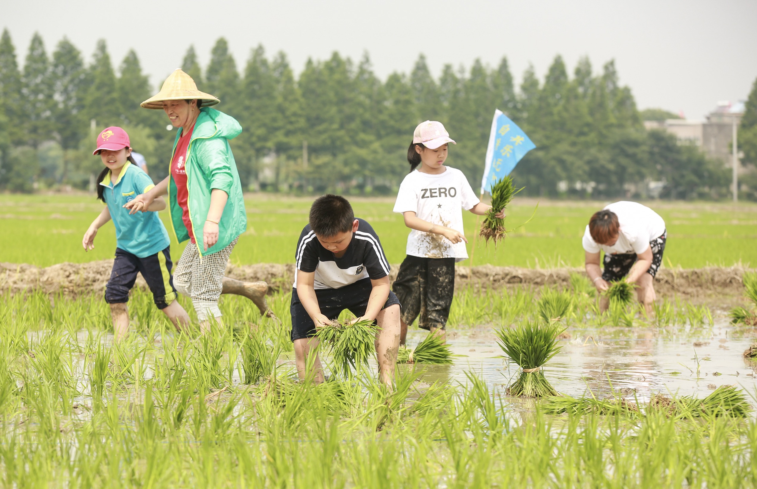桐乡濮院插秧比赛欢乐多
