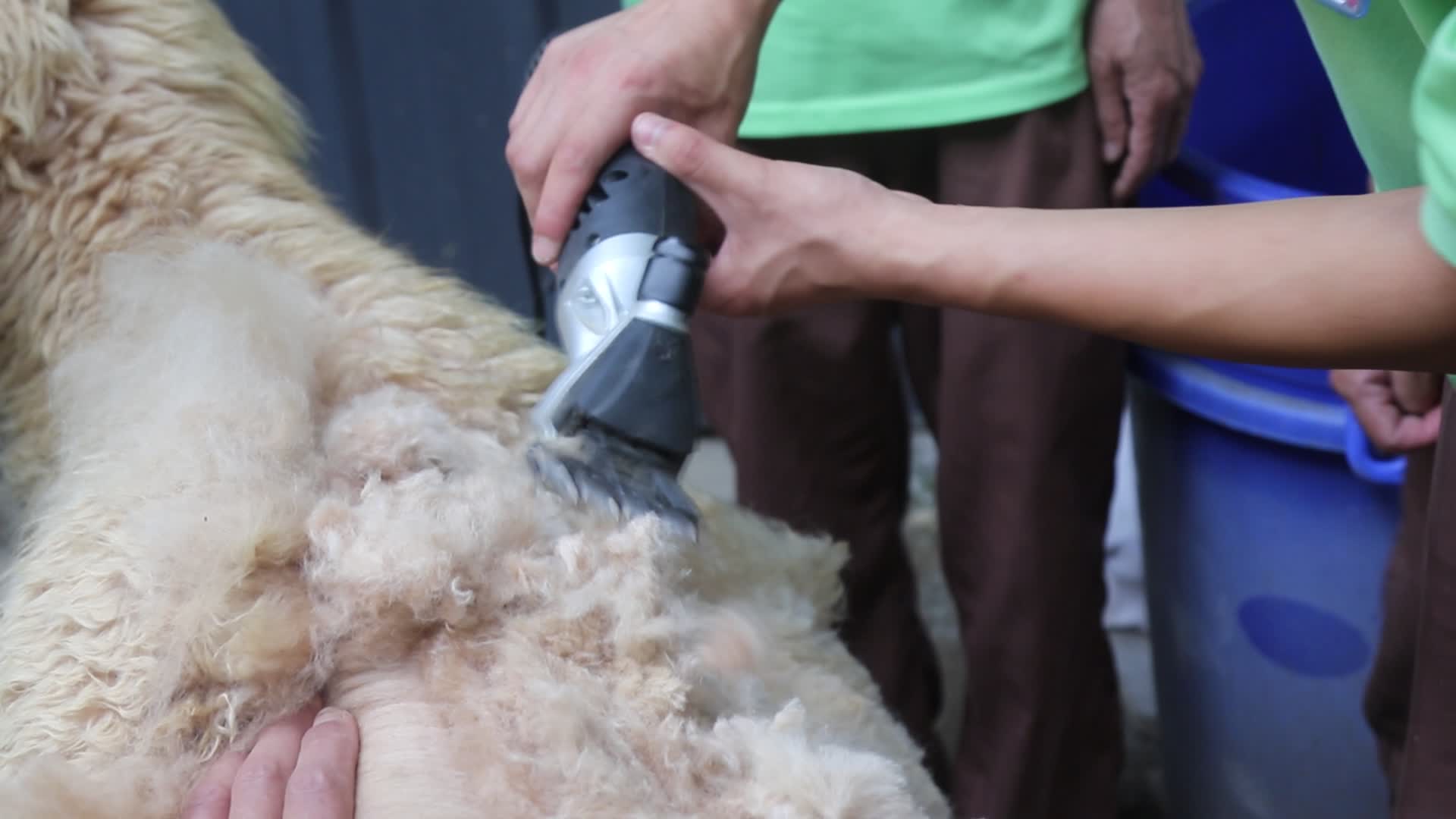 齐刘海发型不能乱!