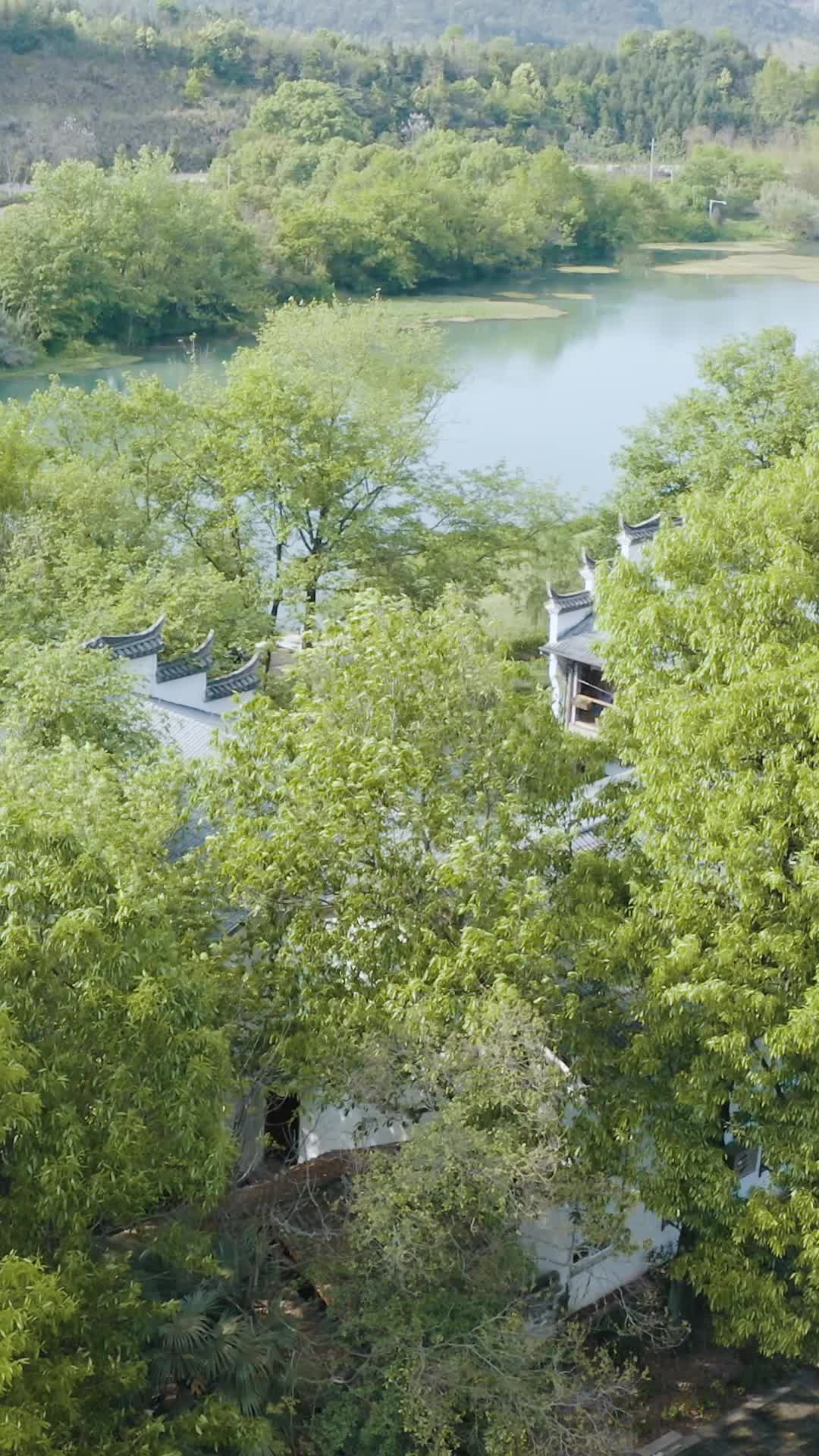 武义一水间茶主题民宿